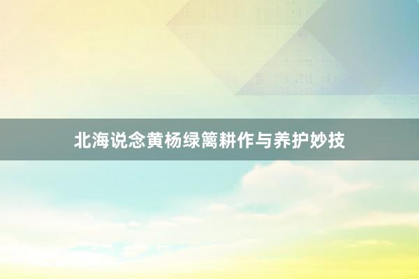北海说念黄杨绿篱耕作与养护妙技
