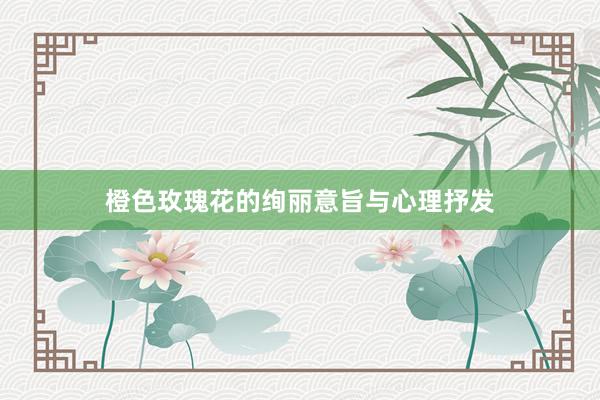 橙色玫瑰花的绚丽意旨与心理抒发