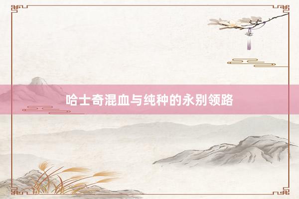 哈士奇混血与纯种的永别领路