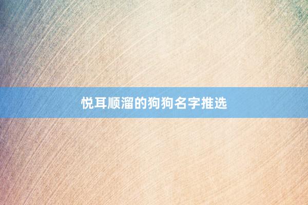 悦耳顺溜的狗狗名字推选
