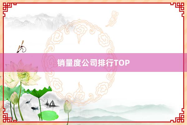 销量度公司排行TOP
