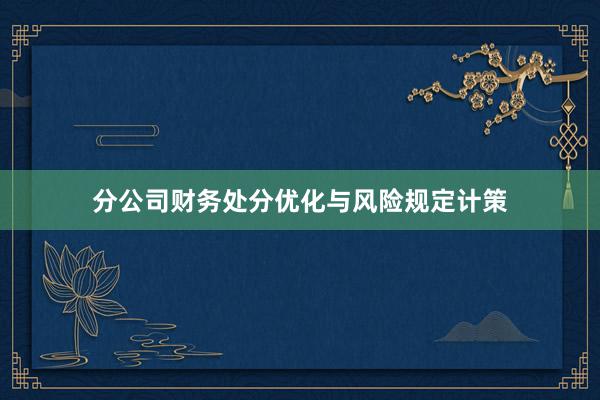 分公司财务处分优化与风险规定计策